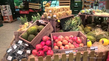 Globus od JPLSKYWANDER 5